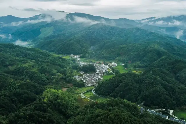 安徽桃源村视频来源丨一条