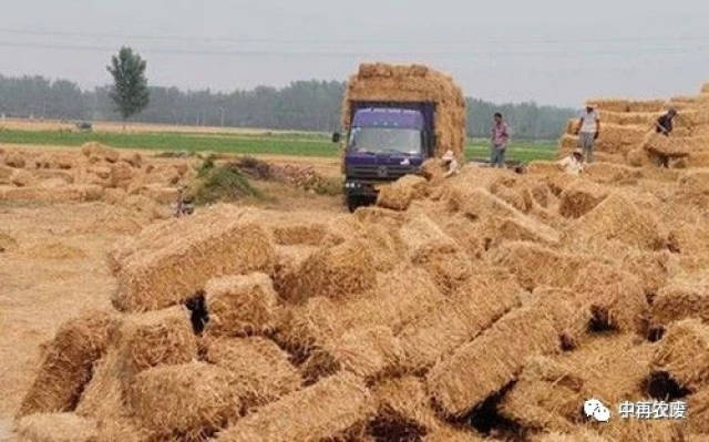 中国秸秆肥料化的现状,问题和发展前景