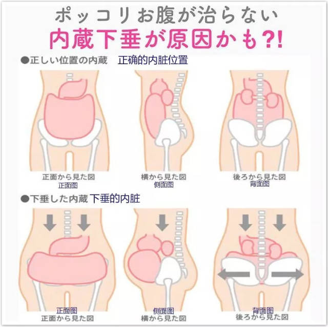 肉肉的小肚子怎么减?日本网友的这个方法让31万人忍不住点赞!