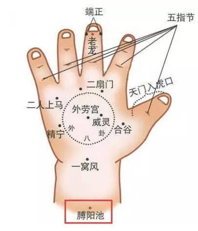 许多穴位与成人有很多不同,且有其独有的特点,如小儿的五指是五经穴