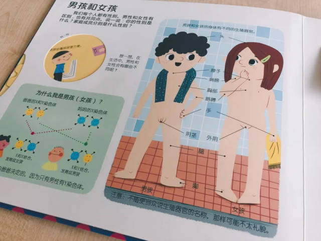 商场里有男厕也有女厕,那是因为男孩和女孩身体上有很多的不同.