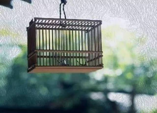 1,鸟笼效应