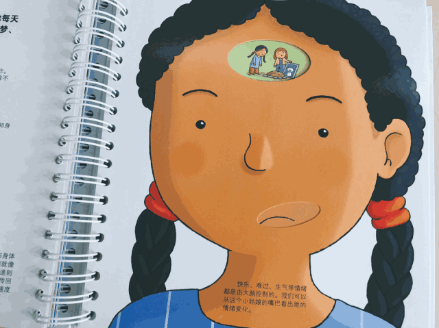 选择「性别常识互动游戏书一本」套餐 立即购买 ▼ 《我们的身体》