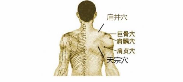 然后用这个盒子在手臂上移动艾灸