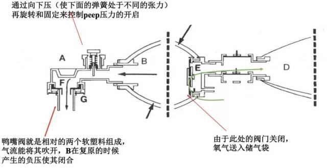 储氧阀  二,简易呼吸器的工作原理  工作原理  氧气进入球形气囊和贮