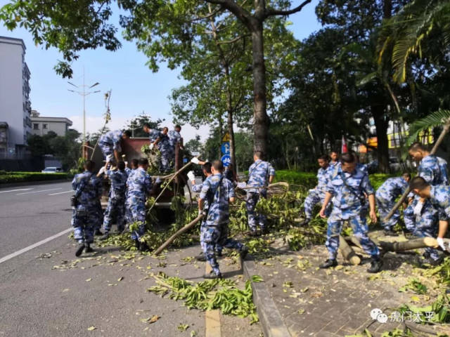 沙角部队40人,在金宁路清理断枝;沙角部队40人,在步行街清理断枝