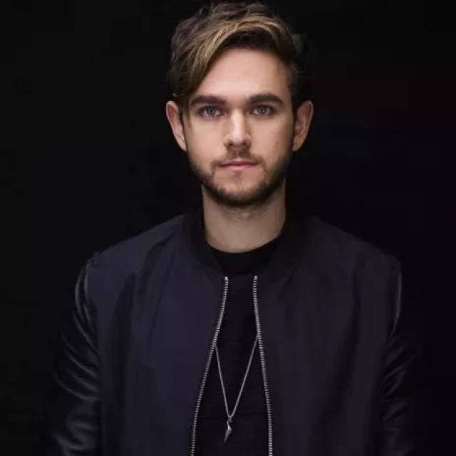 俄罗斯与德国混血的天才dj zedd