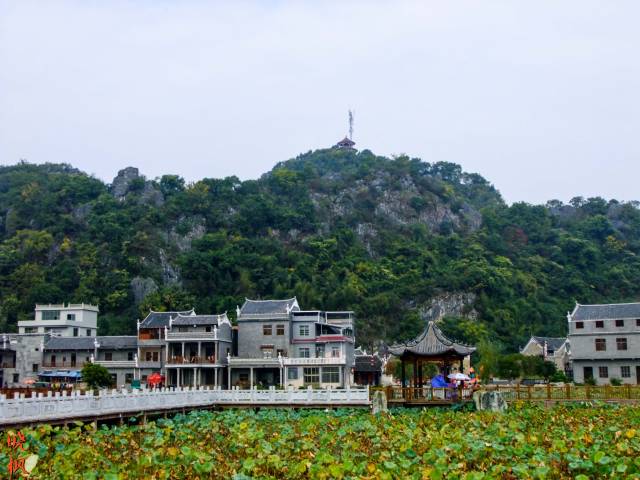 湖南永州道县:濂溪故里与月岩仙踪的美食美景