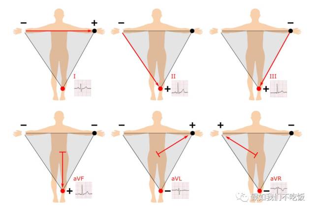心电图12导联中的肢体导联示意图(图片来自网络)