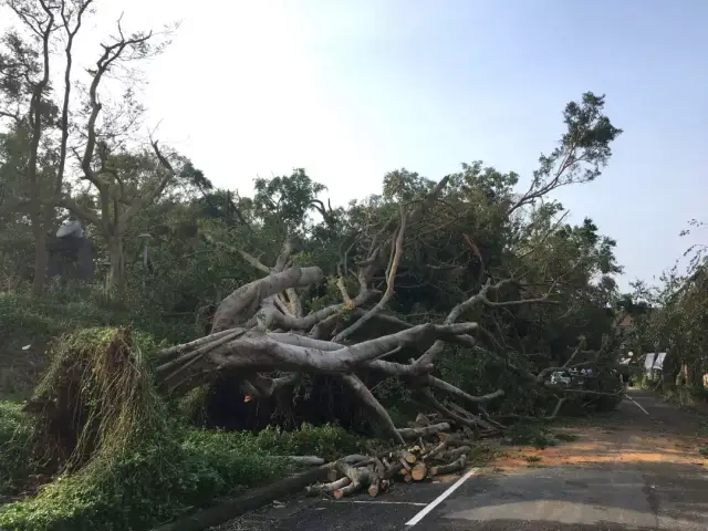 台风过后,有三种疾病最容易缠身,收好这份防病攻略!