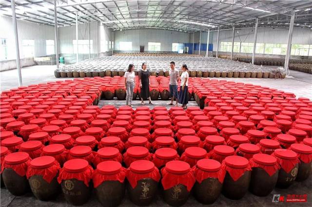 走进金丰酿酒观光工厂 未曾豪饮已然醉了