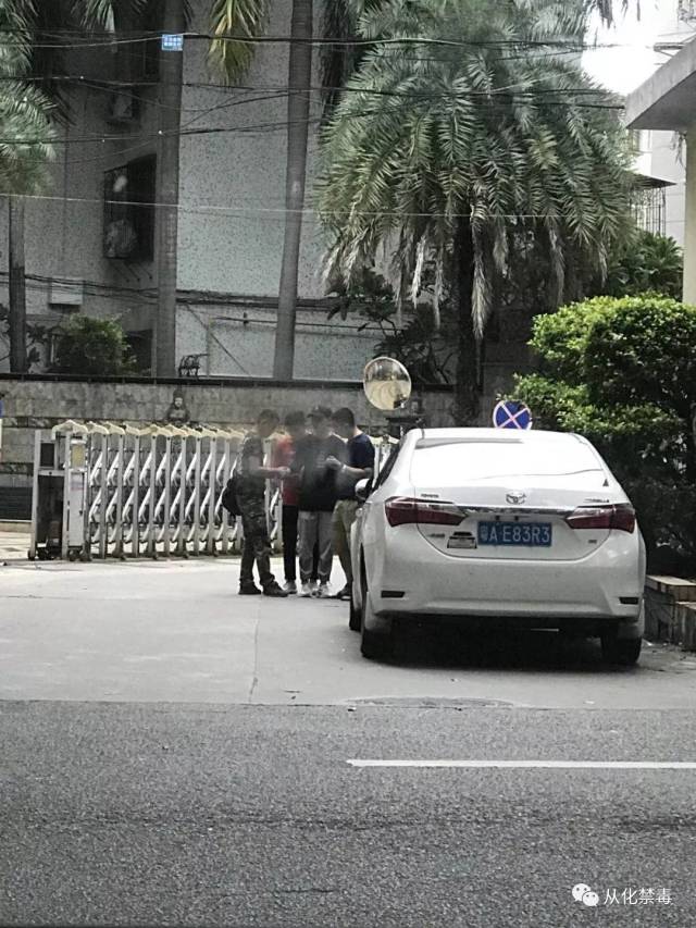 从化警方打掉一个涉大麻容留他人吸毒团伙