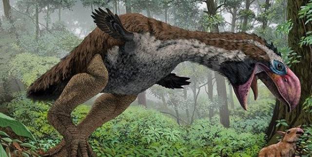 地球史上最大的鸟类 恐龙的接班人 祖先疑似是霸王龙