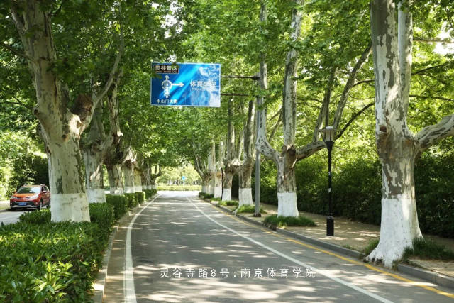 南京体育学院:灵谷寺路8号的日子