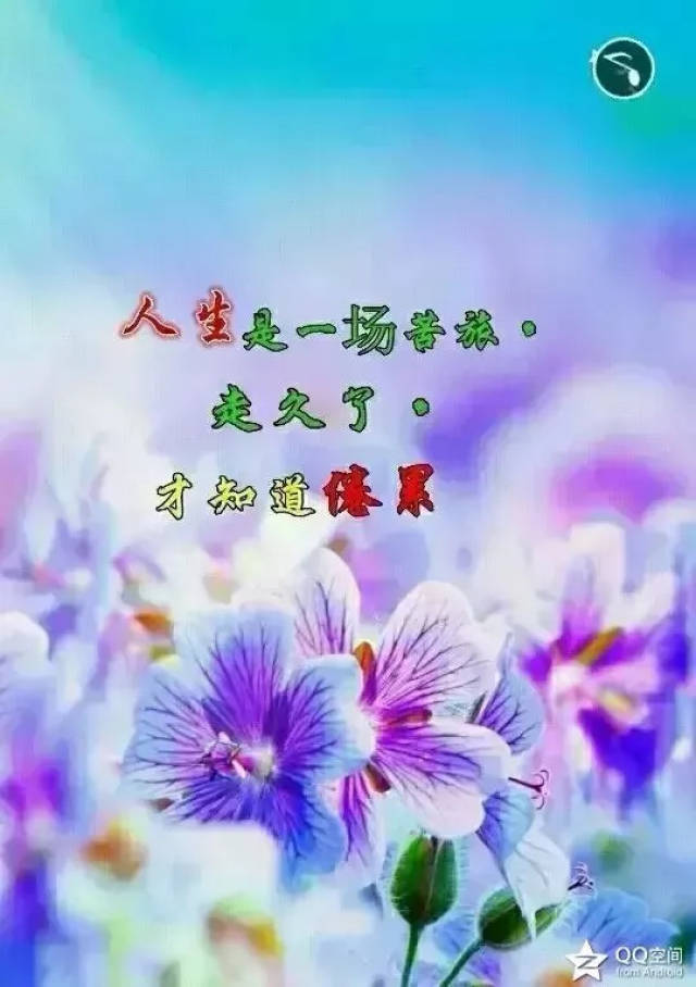 最近超火的微信句子,往事不回头,余生不将就!