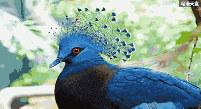 【新线路】南通森林野生动物园十一开园啦!