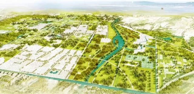 ��������2020���������ݼ������֣�