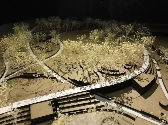 ��������2020���������ݼ������֣�