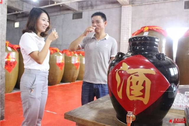 走进金丰酿酒观光工厂 未曾豪饮已然醉了
