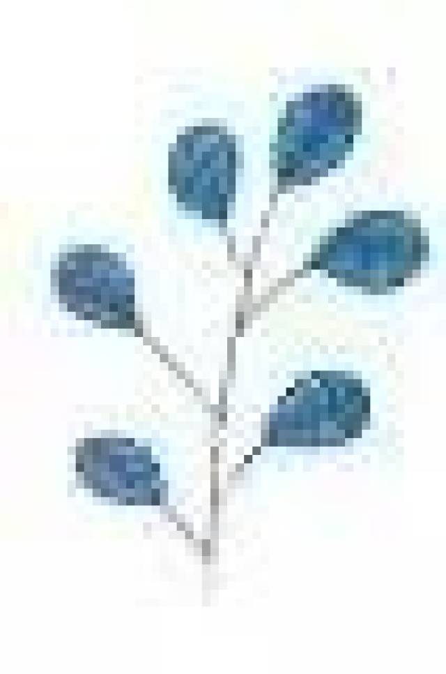 【喜迎旅发大会】以崭新的面貌迎接南平市第二届旅发大会