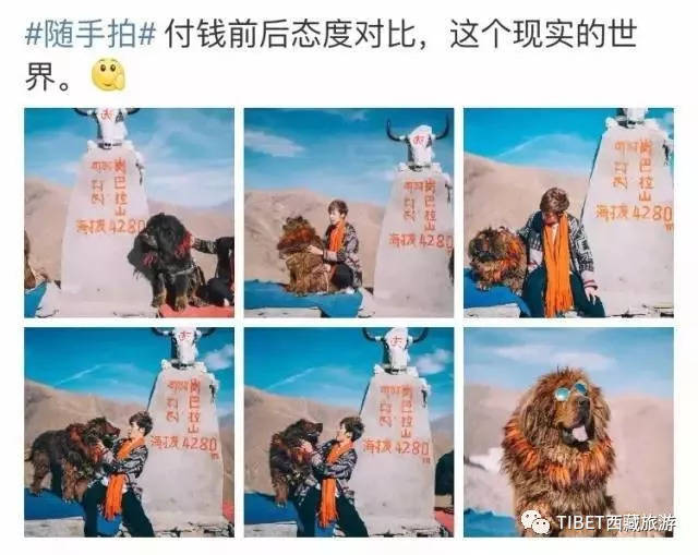 来西藏旅游,这样的发朋友圈姿势,真好!