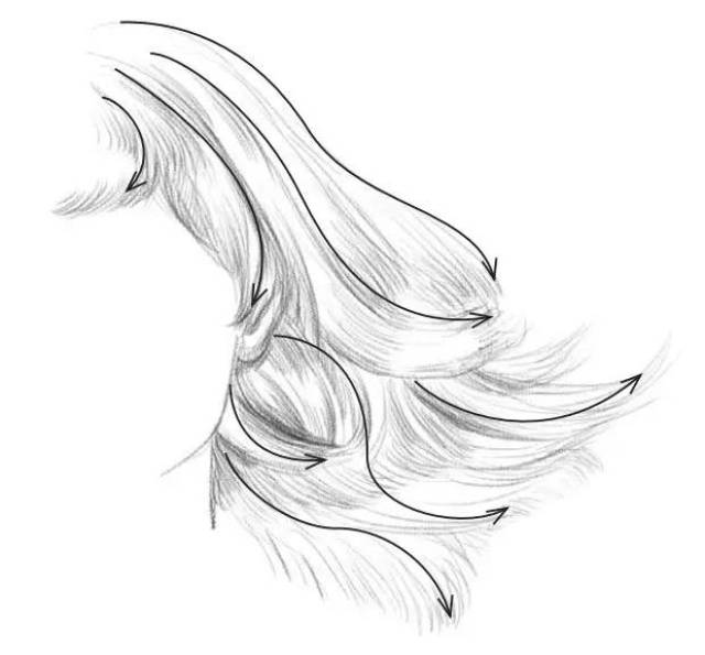 在表现飘动起的感觉时 由于头发长短不一 可将头发区分处一个个的区块
