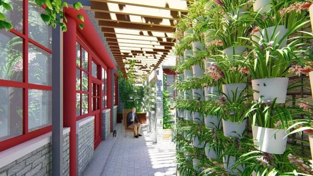 ��������2020���������ݼ������֣�