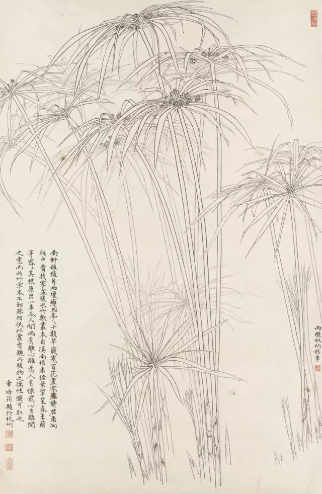 南山读画 | 《章培筠白描花鸟作品》:学习白描要灵活,喜欢哪种就学哪