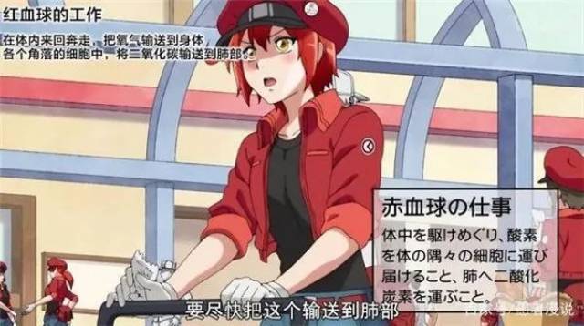 漫評丨健康知識還能這么講?《工作細胞》不火沒道理