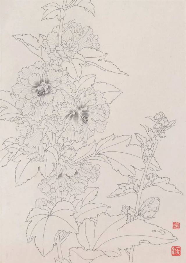 一丈红 39.5cm×27.8cm