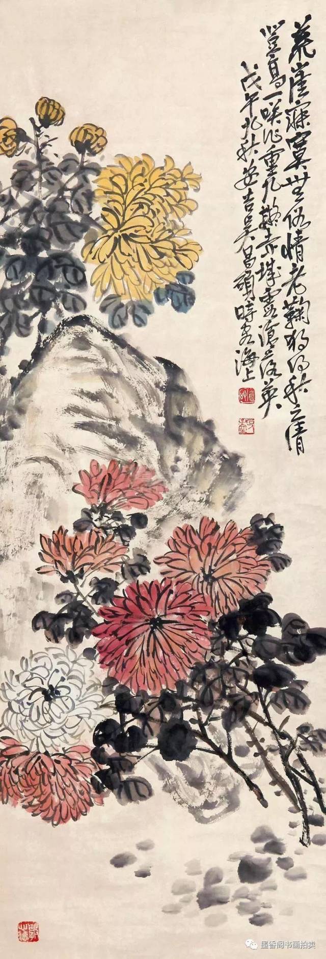 吴昌硕和他醉心的菊花世界