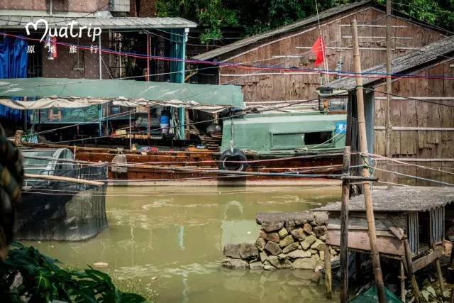 海珠故事旅行坐标 #新洲渔民新村今天,在广州城区最后的水上人家,我