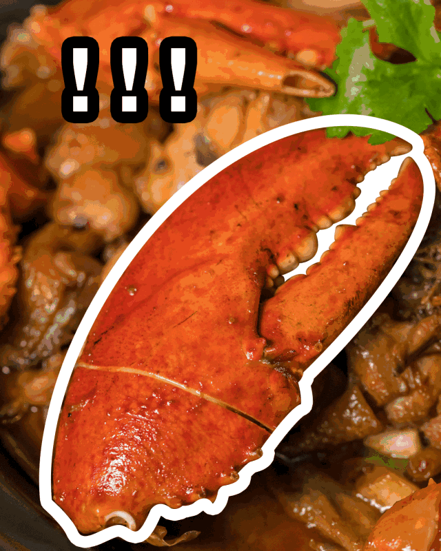 640_800 竖版 竖屏