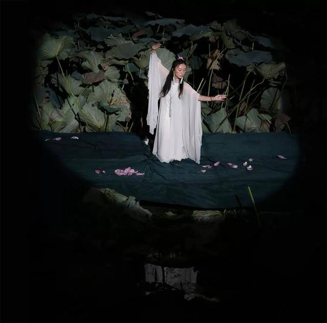 禅舞中华公益行导师思缨女士表演禅舞——《嫦娥奔月》
