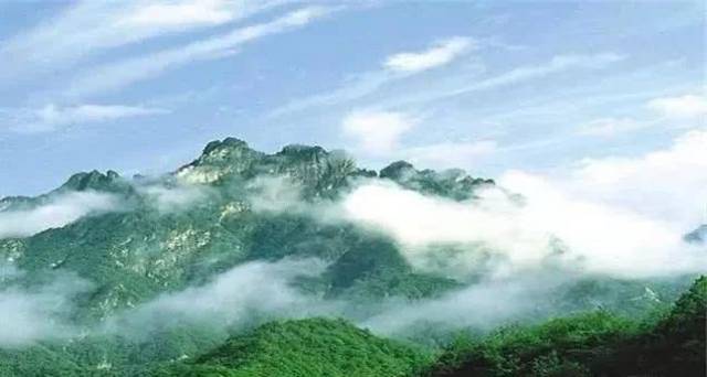 投资150亿元,南阳这6县2区将建伏牛山世界植物大观园