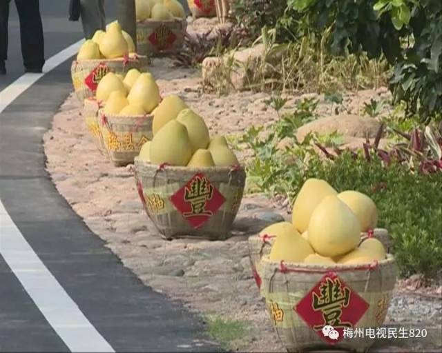 这样的梅县区松口镇大黄村您见过吗?