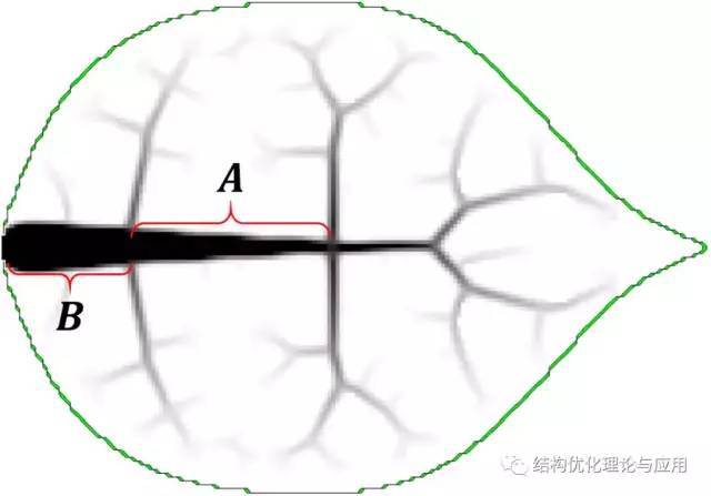 【干货】结构拓扑优化与仿生研究 | 破解树叶叶脉黄金