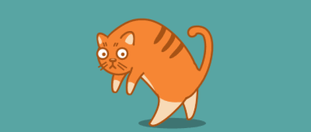 where to go? because there are too many choices.