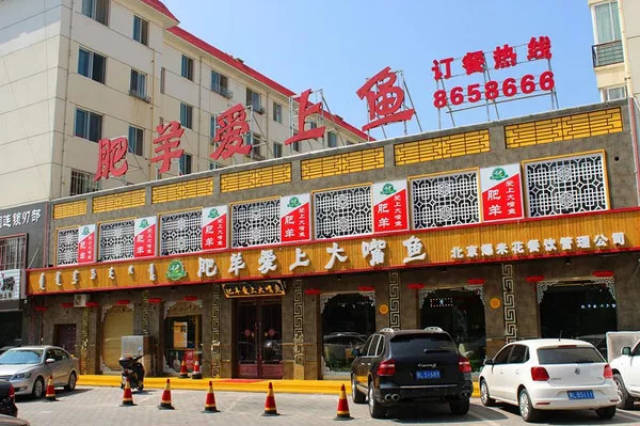 肥羊爱上大嘴鱼