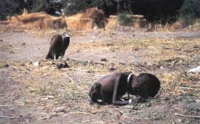 3/11饿死的非洲小孩,旁边的秃鹫正等着吃他.