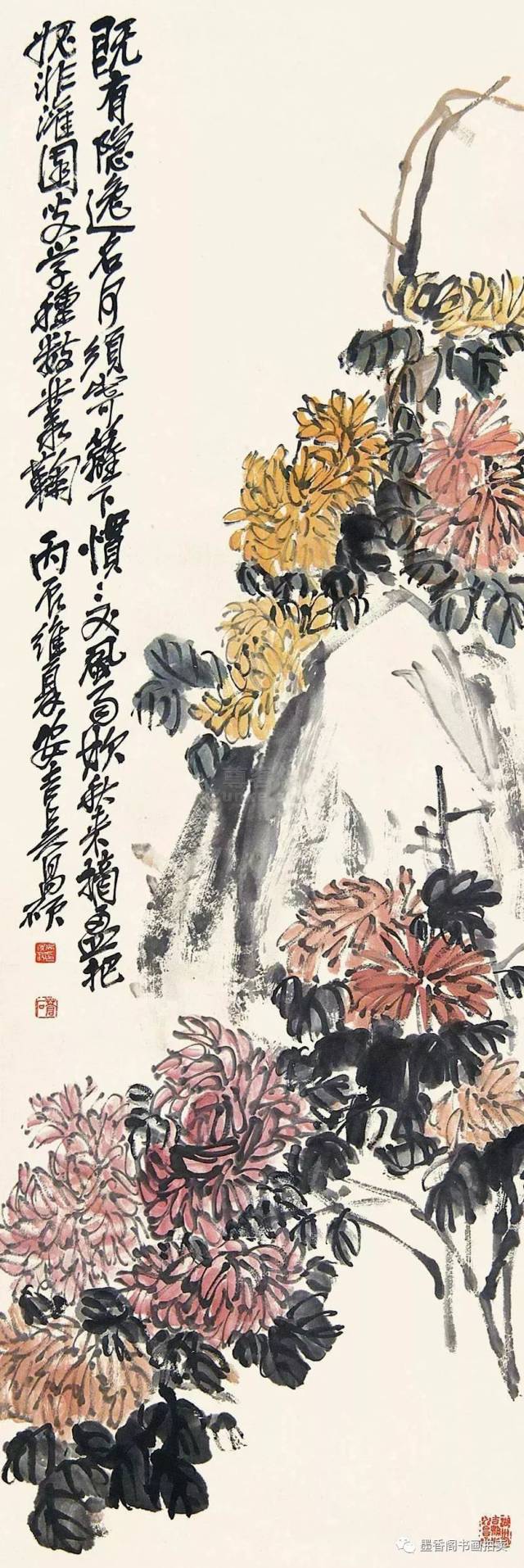 吴昌硕和他醉心的菊花世界