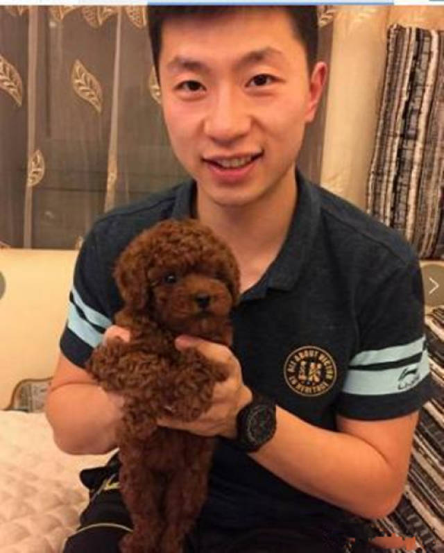 国乒马龙亮出新身份!曾为校花女友挺身而出,但一爱好妻子也难忍