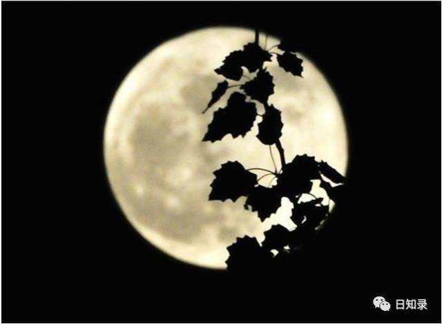 月饼起义:一次冲破信息封锁成功革命的经典案例