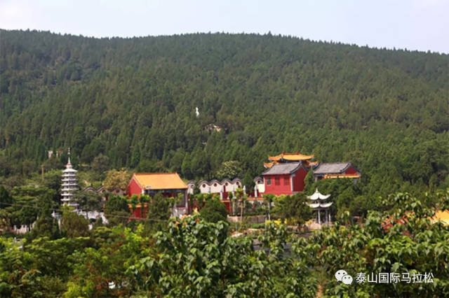 北方小普陀"佛系"跑者们的打卡圣地—10月28日,我在新泰等你!