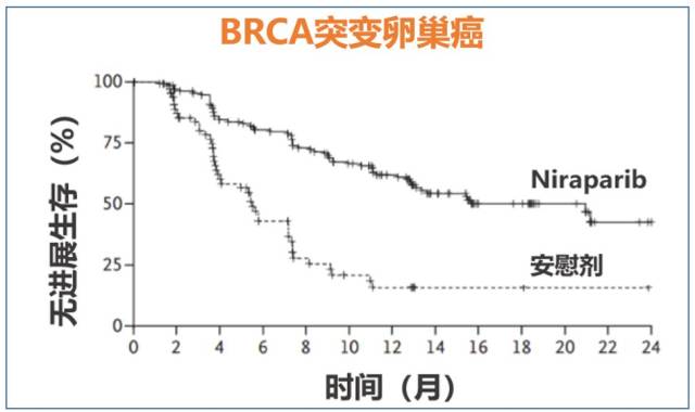 尼日利巫人口(2)