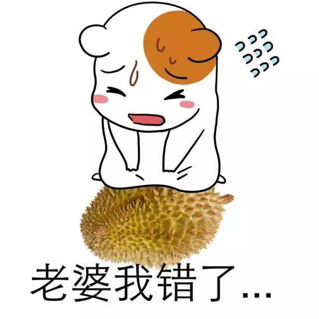 【认错表情包】我错了,我跪键盘行吗