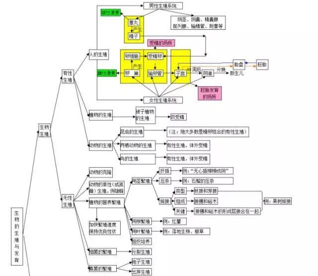 初中生物知识点全汇总,10个专题助你扫清三年知识盲点