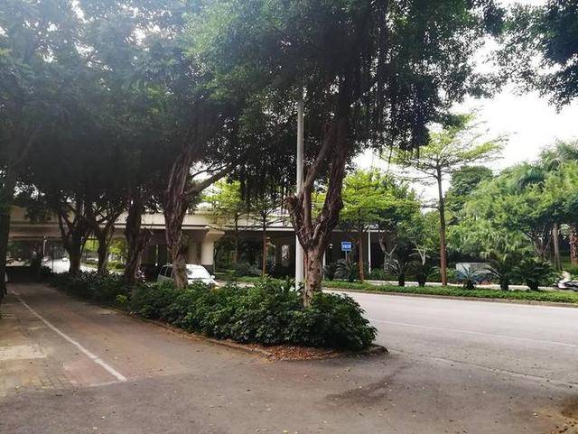 南宁江南大道,前方是永和大桥,绿化不错呢