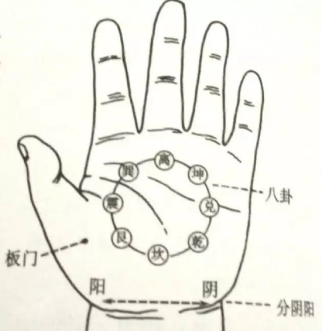 坤,兑八卦,对小天心者为坎,对中指者为离,这是一个存于掌内的面型穴位