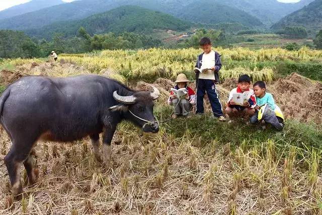 23号是中国首届"中国农民丰收节",那些承载了儿时记忆